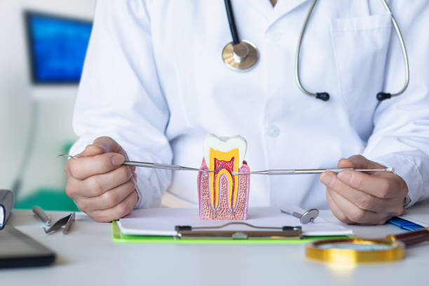 Best Broken or Cracked Tooth Emergency Dentist in Cavalier, ND
